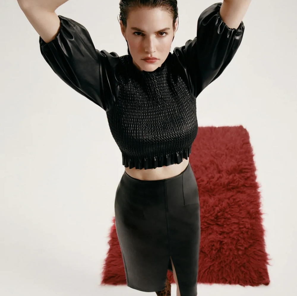 Zara crop top